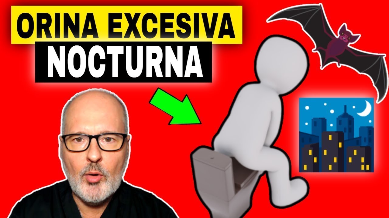 MICCI&Oacute;N NOCTURNA: CAUSAS Y SOLUCIONES