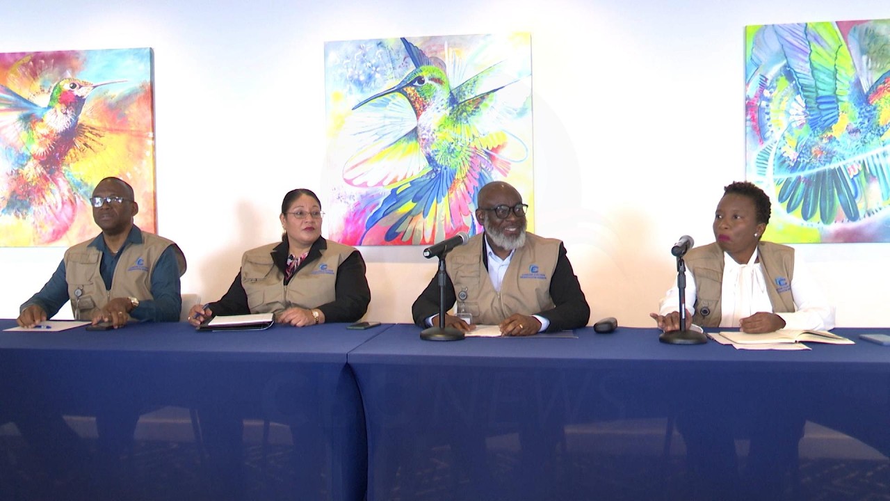 General election deemed free and fair, but concerns raised