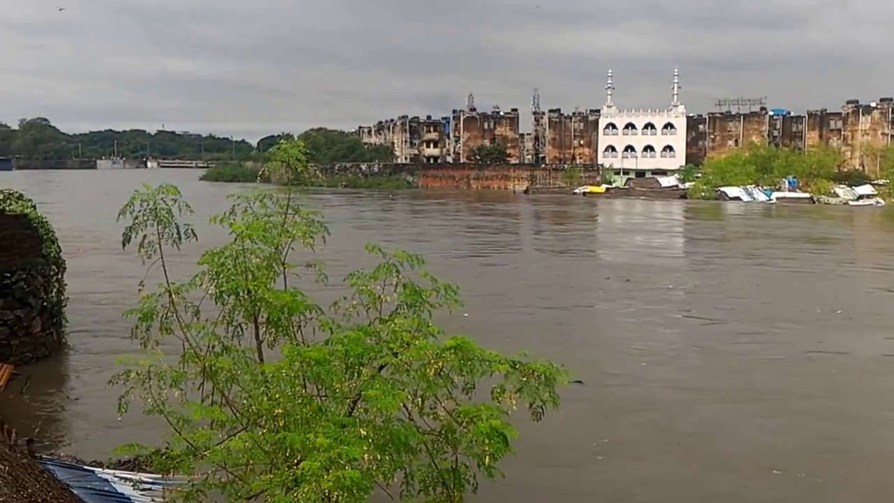 Adyar River Saidapet Part 1