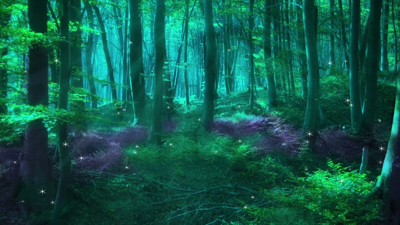 Magical Forest at Night || Ambience with Birds, Quiet Stream, and Enchanted Creatures
