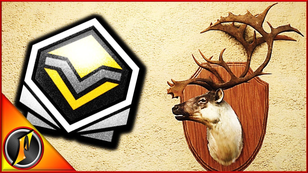 Lynx Night Hunt Ft. Massive Diamond Reindeer!