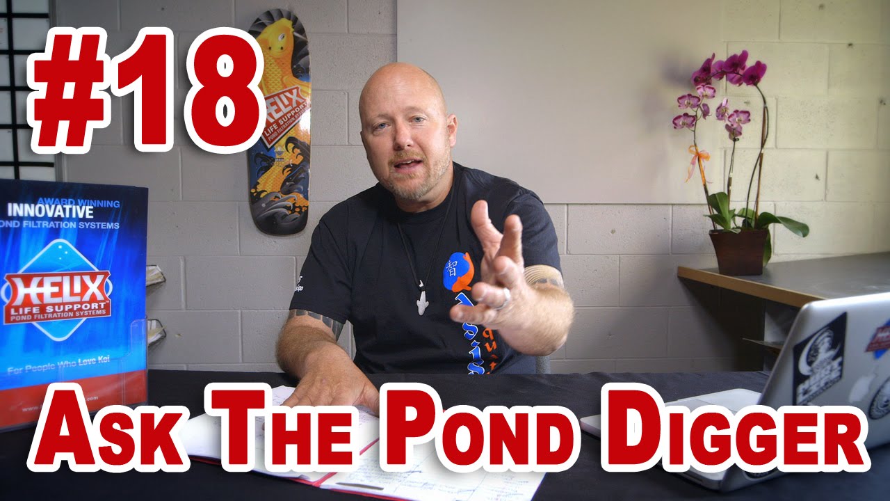 Pond PH, Koi Aquarium, Pond Clay - Ask T.P.D. Show 18