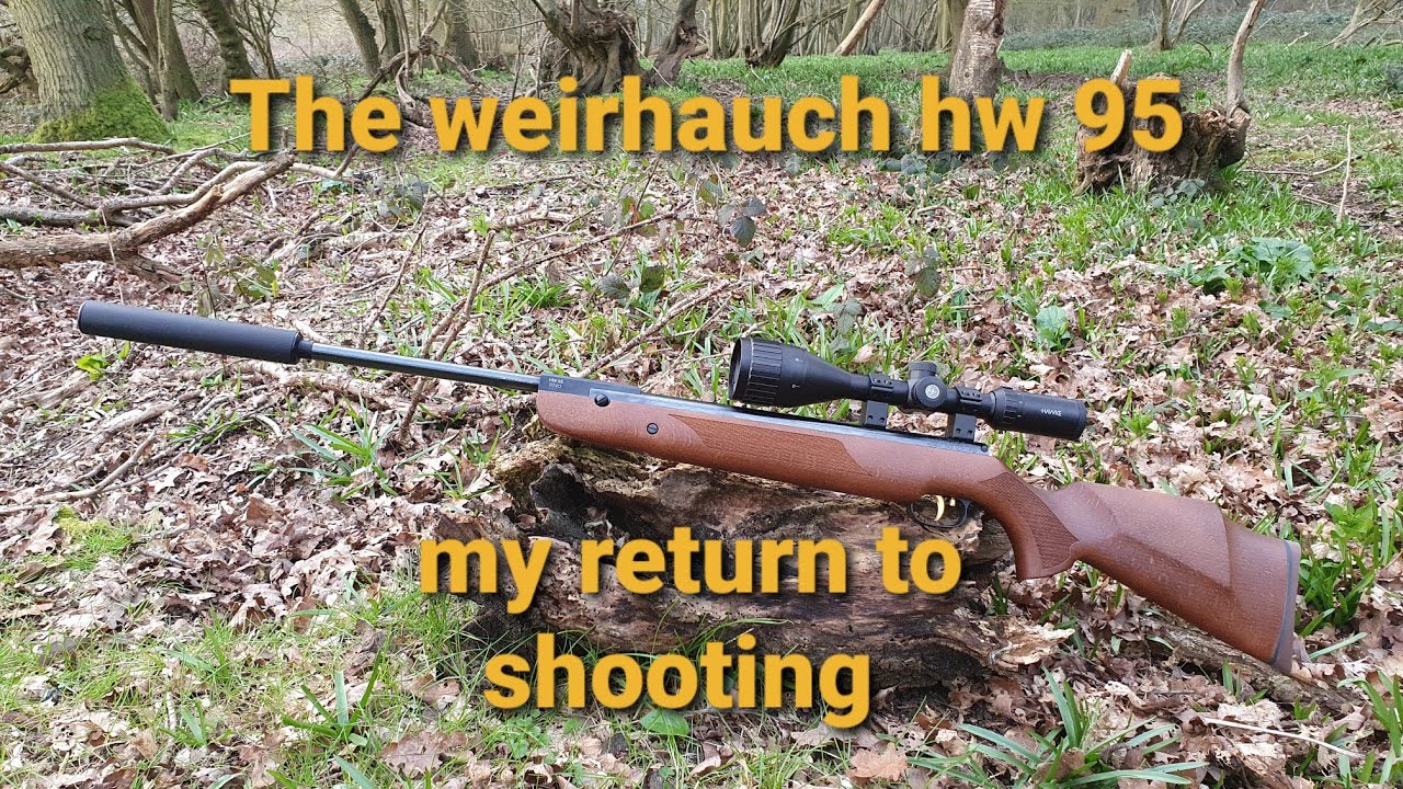 The weirhauch hw 95 my return to shooting