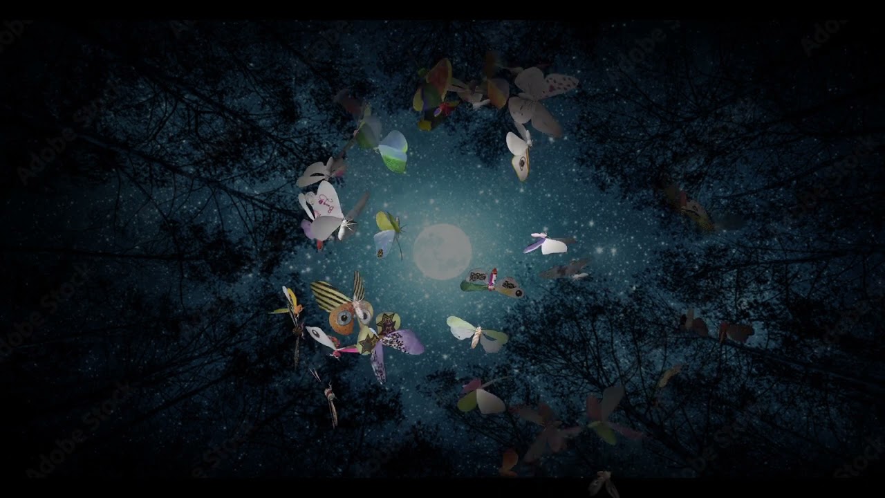 ZEROH_Curious Moth Eclipse