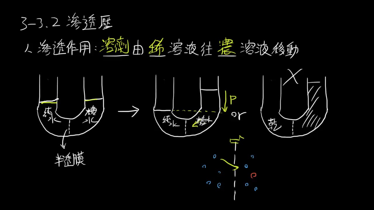 選修化學(一)3-3.2滲透壓