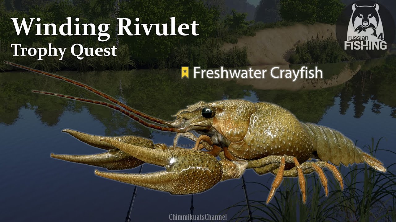 Russian Fishing 4: Winding Rivulet Trophy Quest Update - Freshwater Crayfish