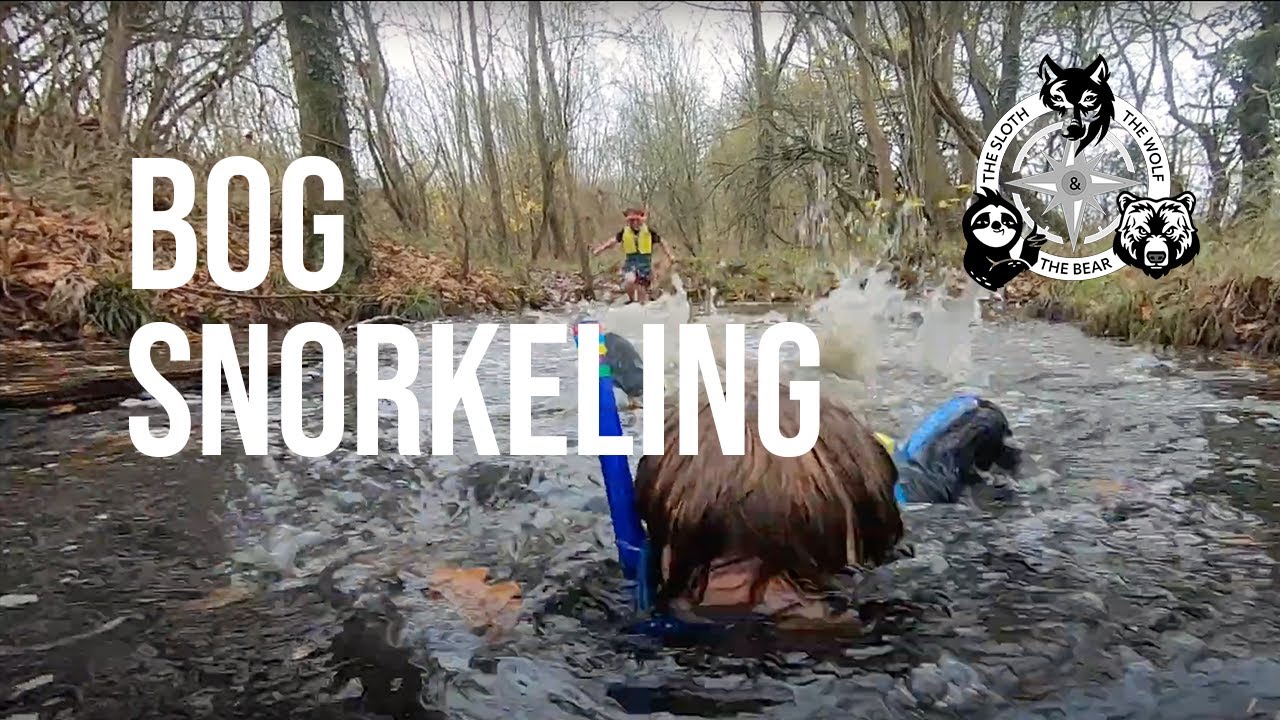 Bog snorkeling! Rewilding kids - Outdoor play snorkelling and wild swimming in the woods.
