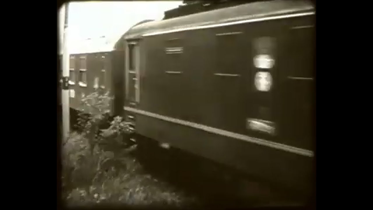 Traťováci