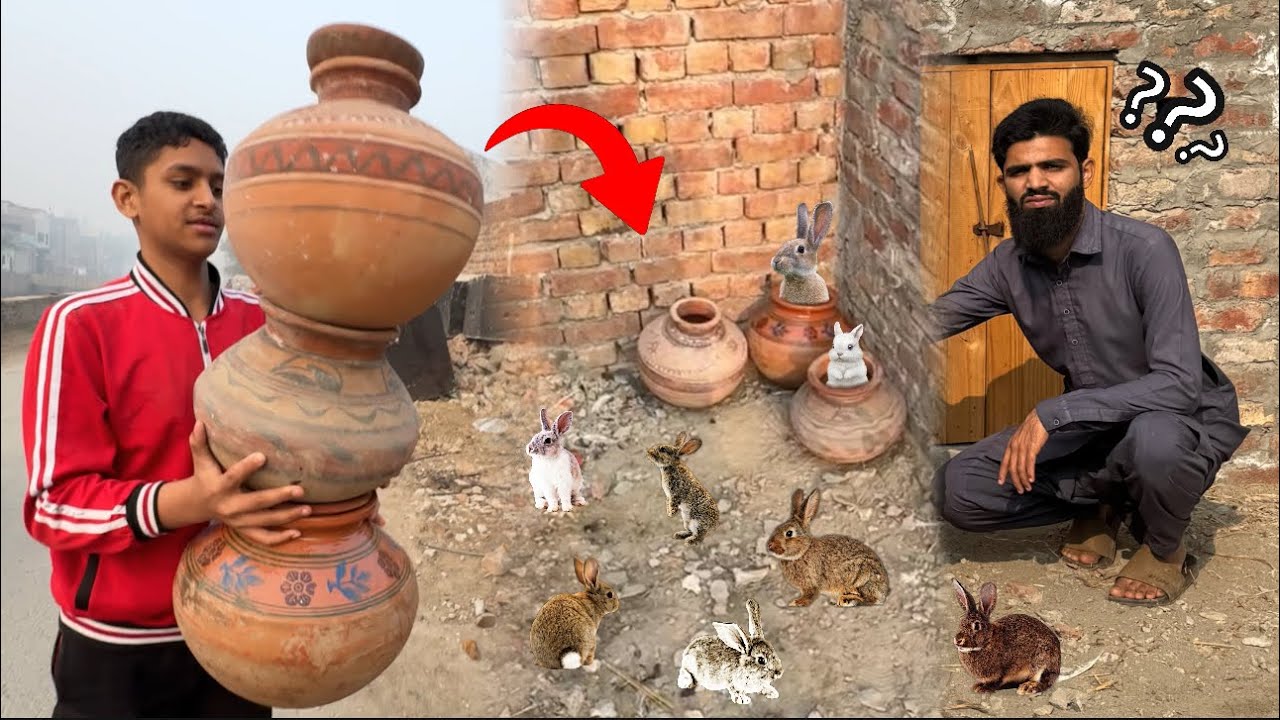Rabbit house kese bnain ? 