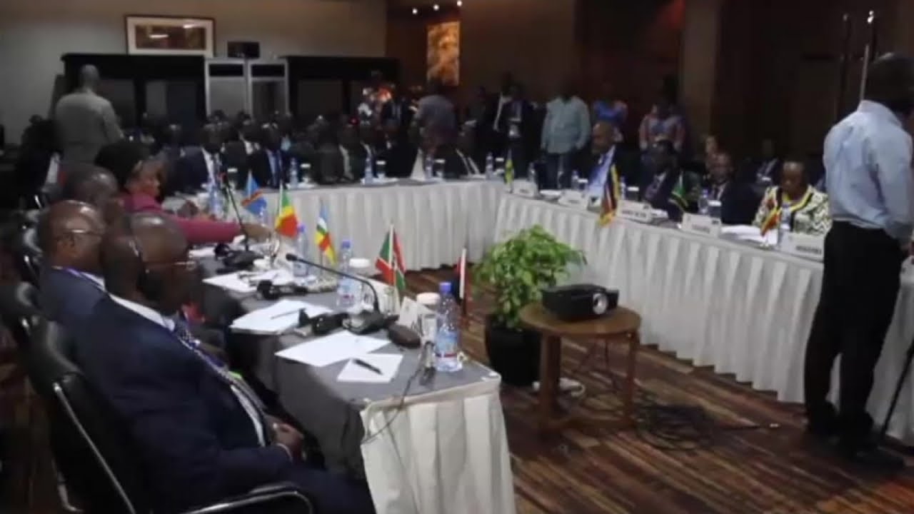 Afrique, R&Eacute;UNION DES COORDONNATEURS DE LA CIRGL