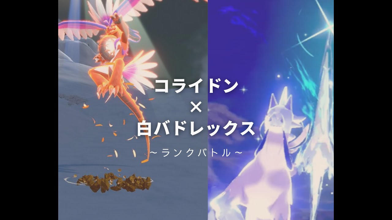 コライドン×白バドレックス#1