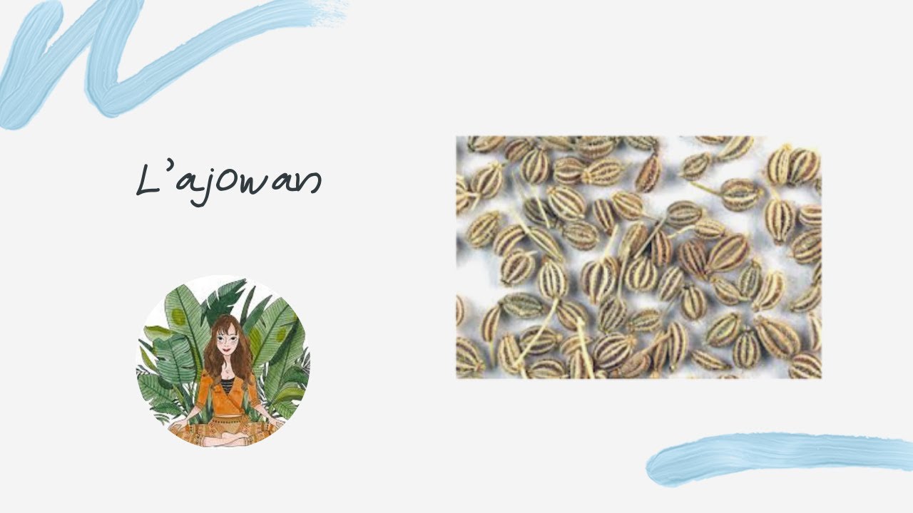 L'ajowan