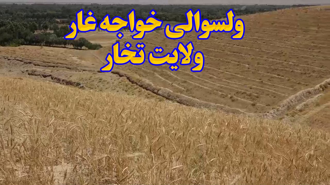 میهن من | معرفی ولسوالی خواجه غار ولایت تخار