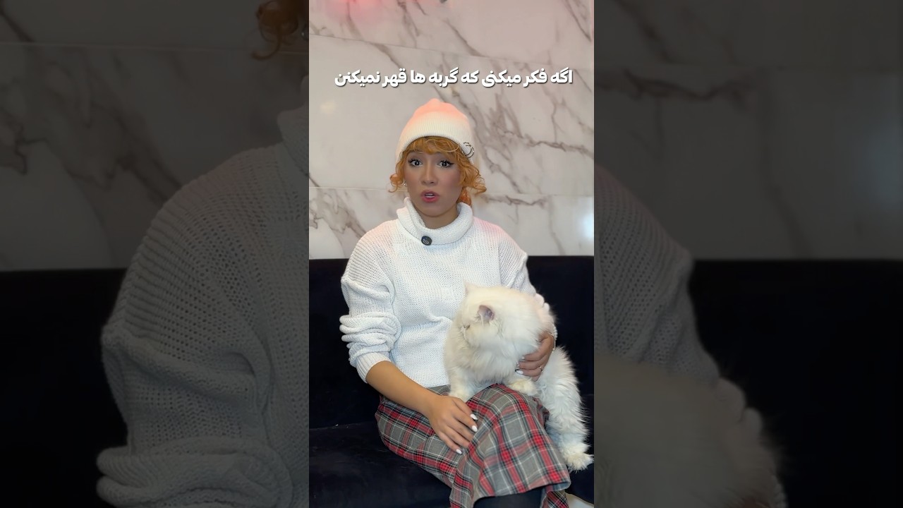 گربه&zwnj;ها قهرم میکنن😭