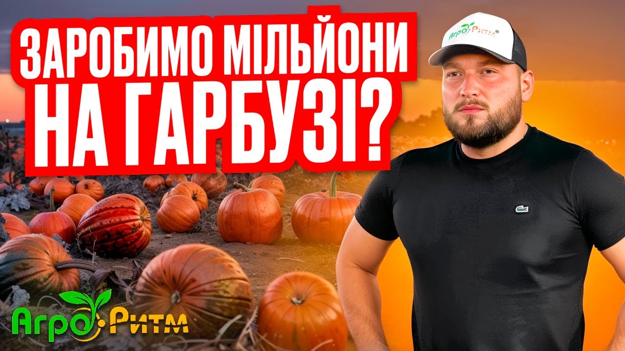 МІЛЬЙОНИ НА ГАРБУЗАХ?!ВСЕ ПРО ГАРБУЗОВИЙ БІЗНЕС:ТЕХНОЛОГІЯ ВИРОЩУВАННЯ,КУДИ ПРОДАТИ,ДЕ КУПИТИ...
