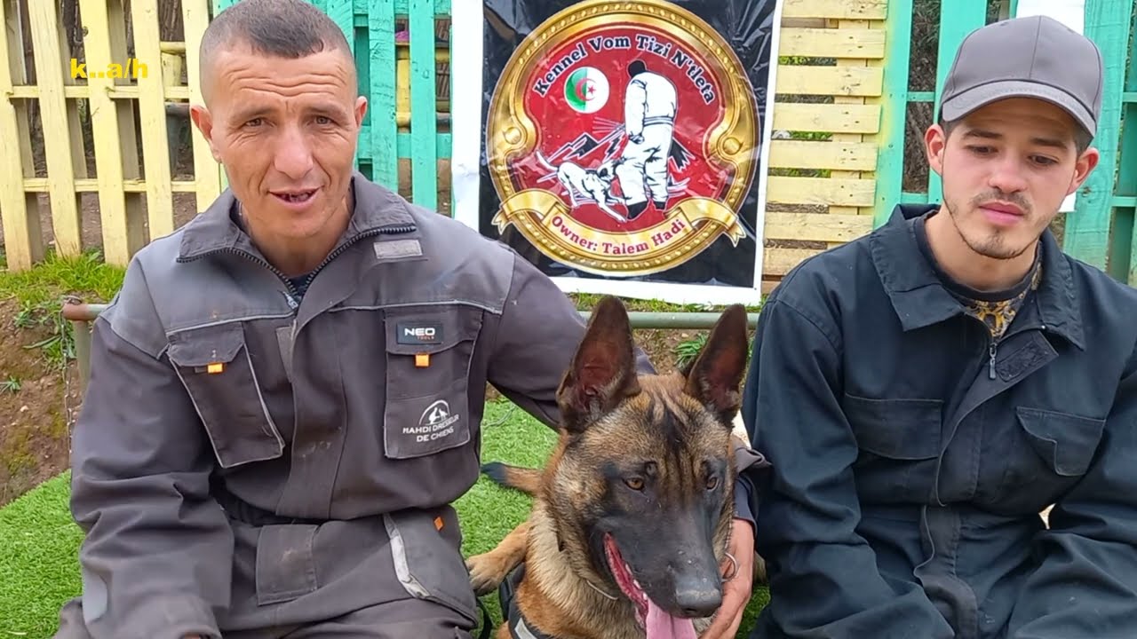 Un concours au centre des chiens de tizi n'tleta à ouadhias à tizi ouzou...Les Détails...