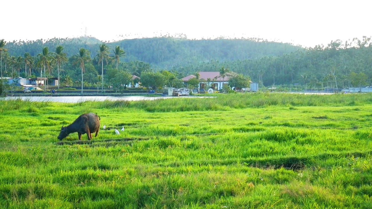 AROUND LAKE SUMLANG | ALBAY