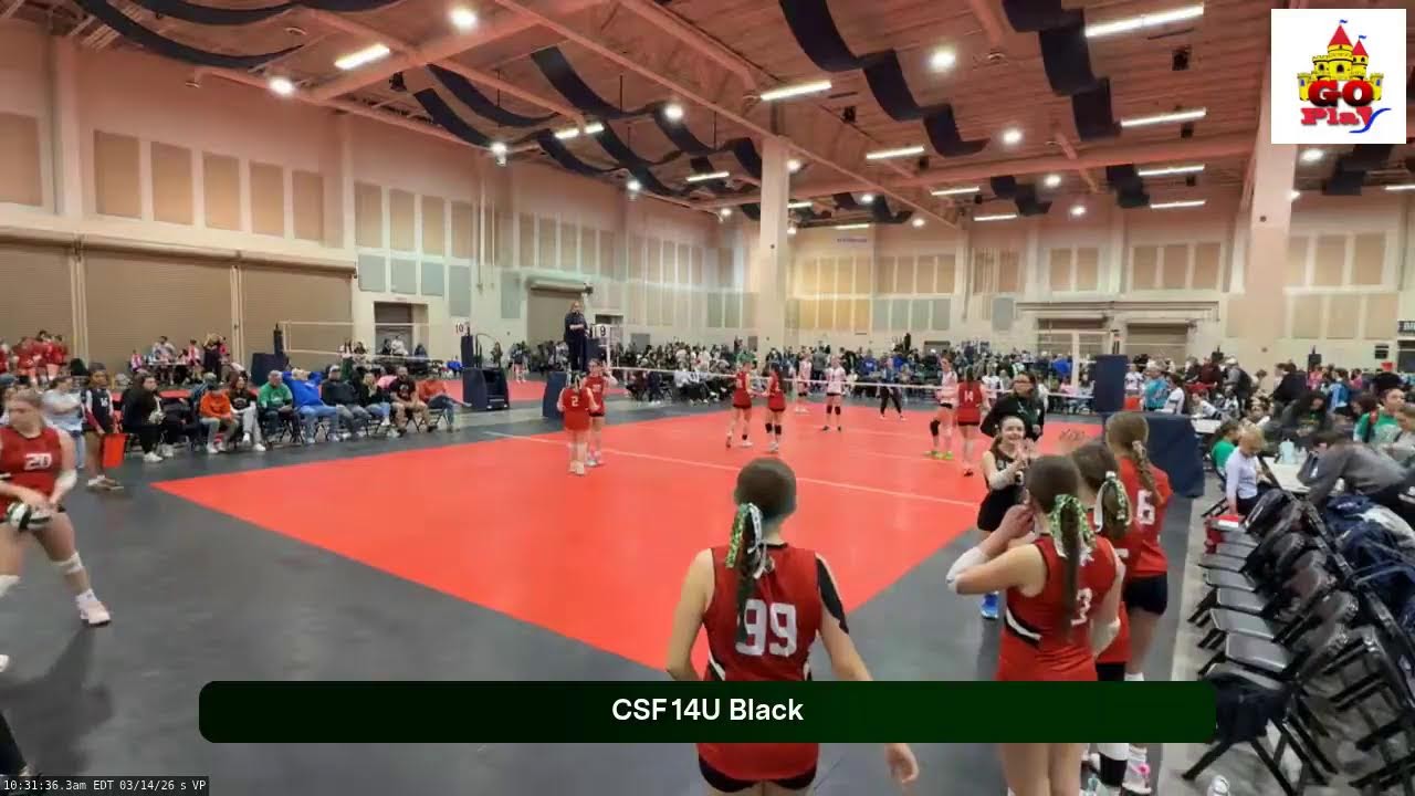 GO Volley 14 Black (2026.03.14)