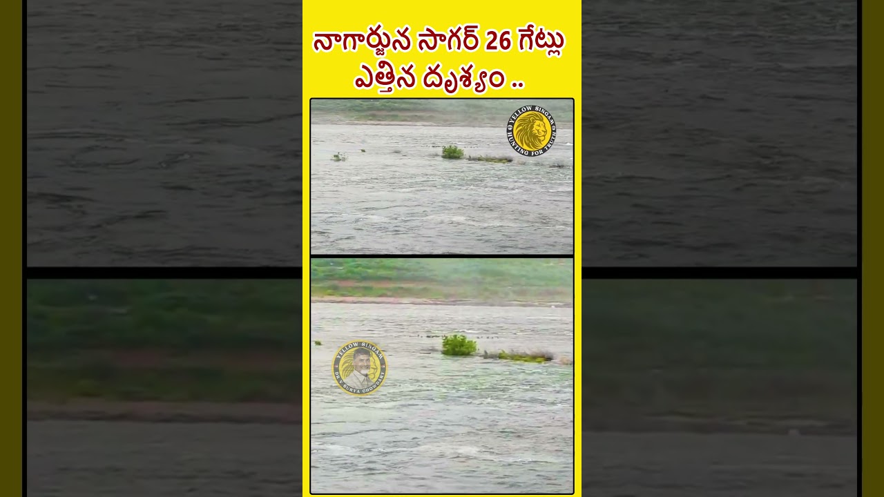 నాగార్జున సాగర్ ప్రాజెక్టు వరద ప్రవాహం.. #nagarjunasagar #rain #heavyrain #ap | INDIAN YELLOW SINGAM