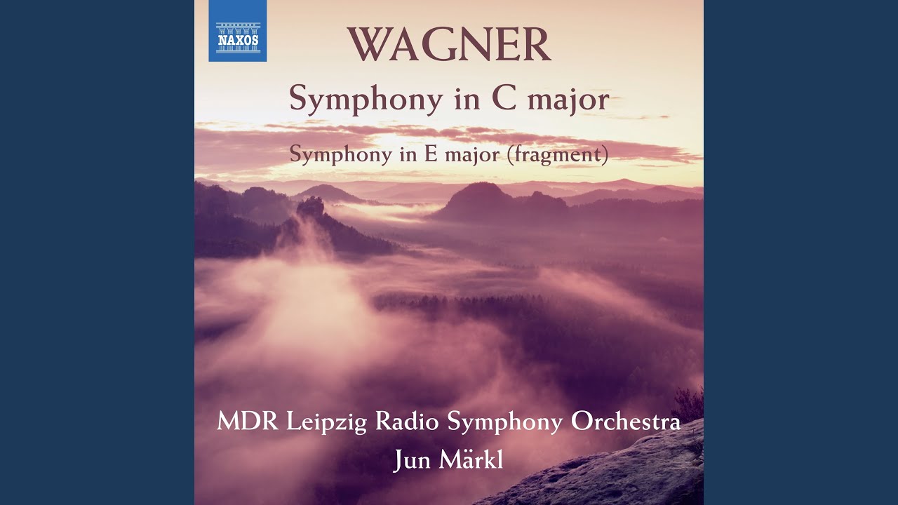 Symphony in C Major, WWV 29: I. Sostenuto e maestoso - Allegro con brio