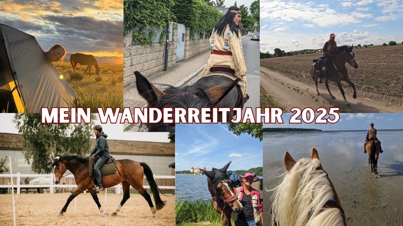 Rückblick auf unser Wanderreitjahr 2025 und Pläne 2026 #wanderreiten
