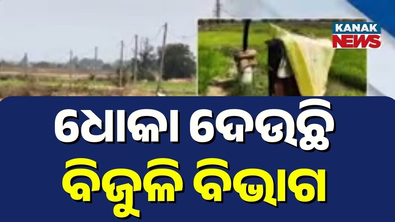Rabi Crops Devastated | Farmers in Despair | Irrigation Fails Due to Power Cuts |