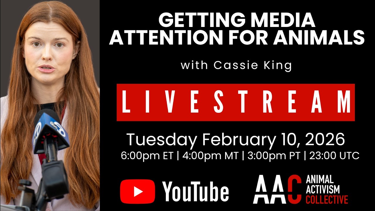 Getting Media Attention for Animals w/ Cassie King