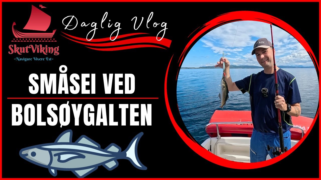 01.07.24 - Småsei ved Bolsøygalten