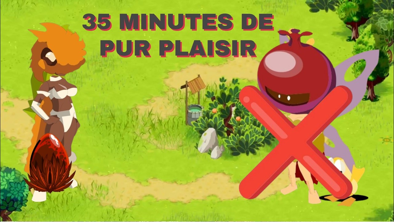 [BOUNE]DETRUIRE LES ENIS EN SADI G2 PVP DOFUS RETRO