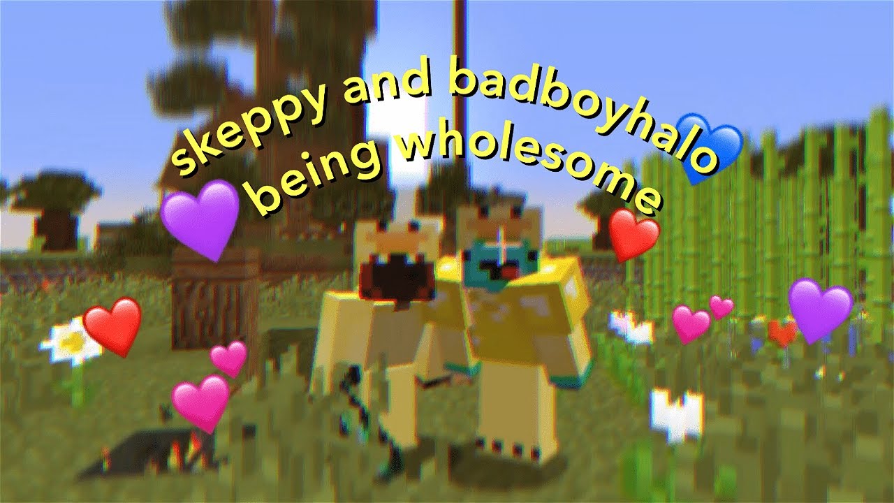 skeppy and badboyhalo being wholesome