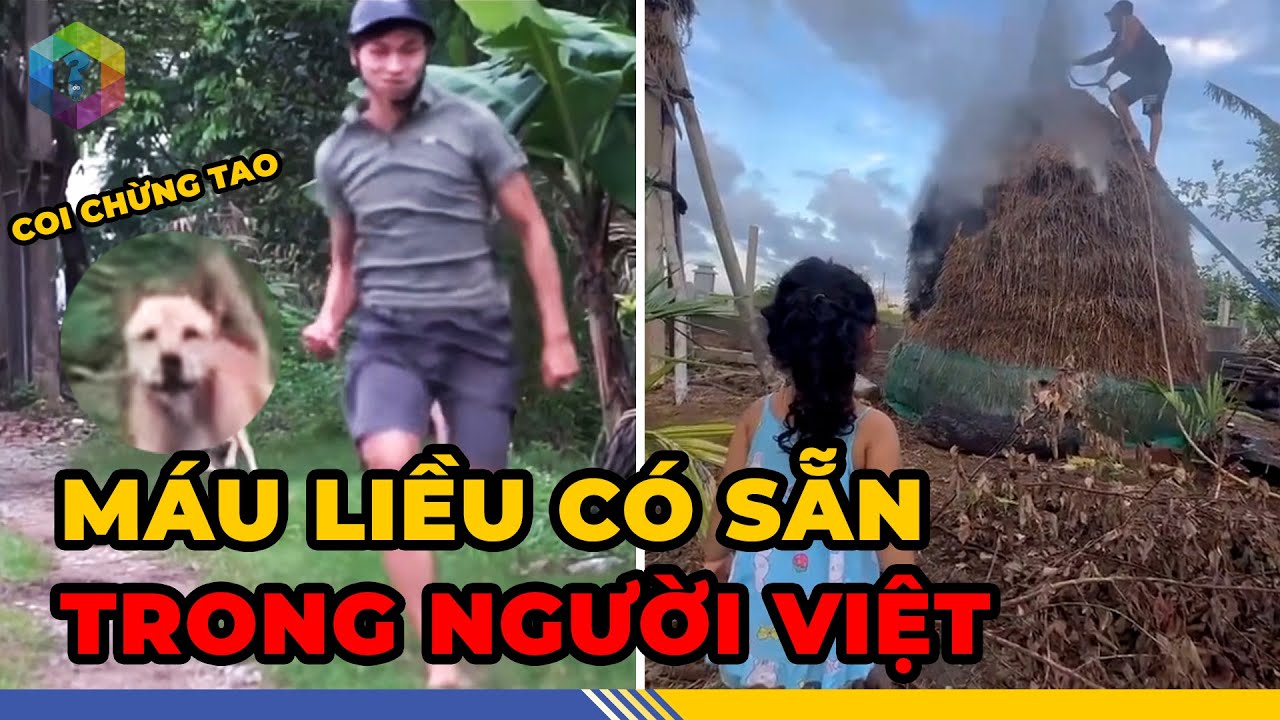 Hú Hồn 7 TRÒ VUI Huyền Thoại Và Mạo Hiểm Bậc Nhất Chỉ Có Ở Việt Nam - Top 1 Khám Phá