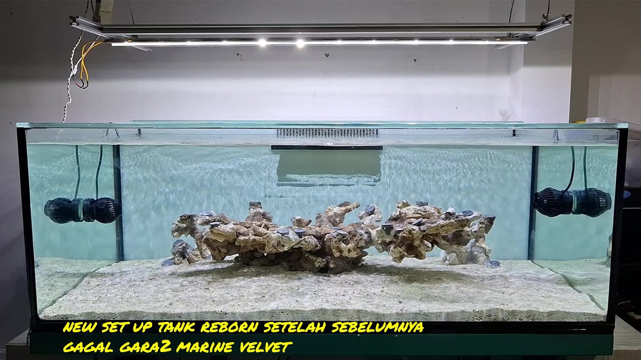 SETUP REEFTANK REBORN 120CM DARI AWAL | PENGGANTI TANK SEBELUMNYA YANG GAGAL GARA-GARA MARINE VELVET