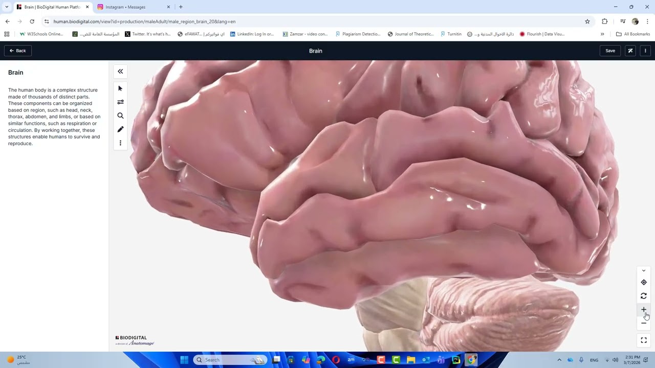 موقع علمي بوريك اعضاء الجسم 3d