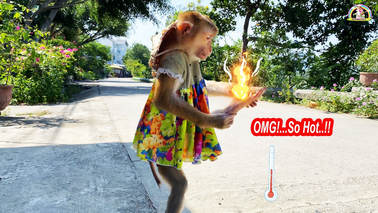 OMG... My feet are so hot! Monkey Lyly is confused because the road is hot so she can't go outside.