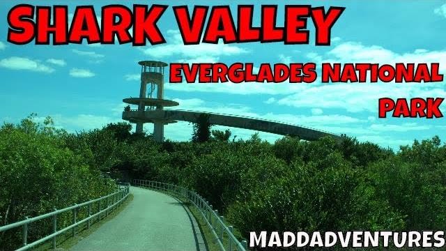 Shark Valley Everglades National Park - MaddAdventures