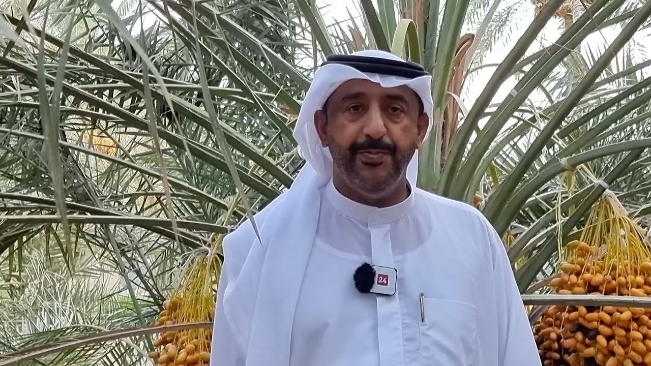 خليفة الطنيجي: زراعة النخيل مهنة الآباء وجزء من الموروث الإماراتي