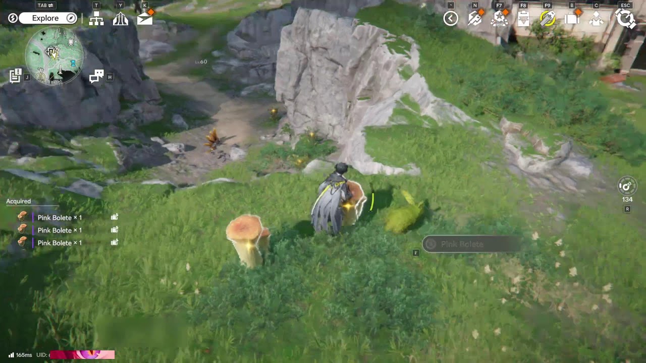 A - All Content 1.0 : Main Story and Exploration