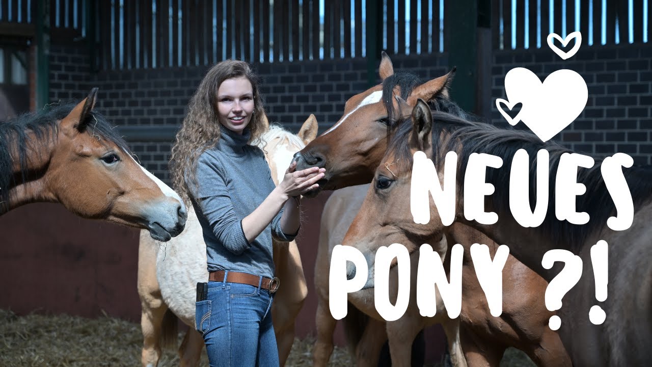 Neues Pony ?! Zu Besuch bei unseren Babypferden I LILGRO