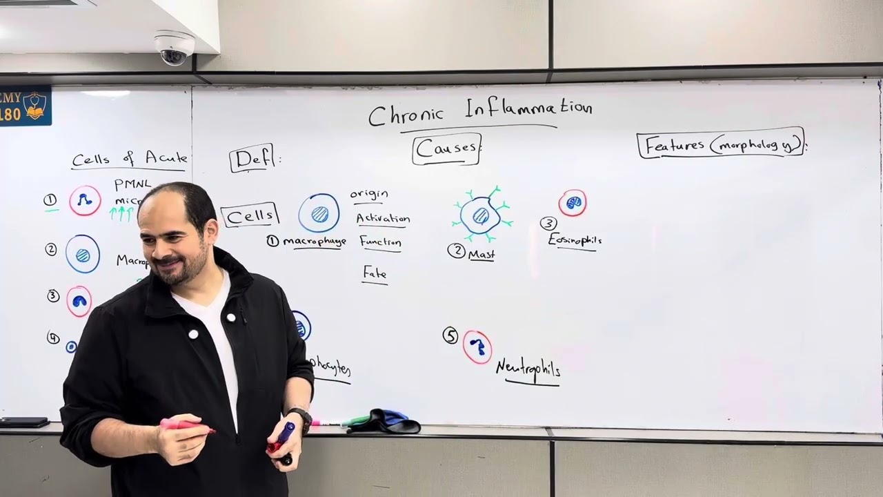 Inflammation 4 | Module 208| 198|د.عبدالرحمن خليفه - القصر العيني 