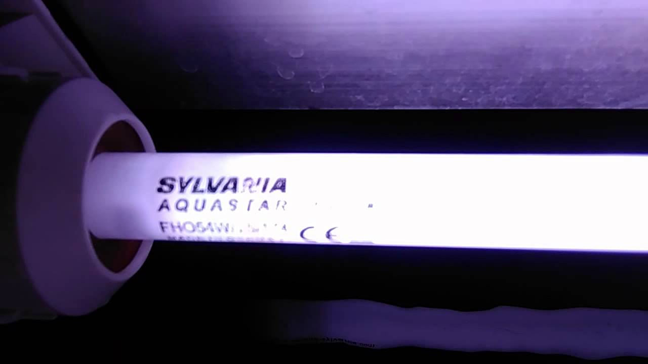 01..Akwarium 450L ŚWIETL&Oacute;WKI T5 Sylvania Aquastar 54W 10000K 115cm Sylvania Grolux 8500K 115cm 54W