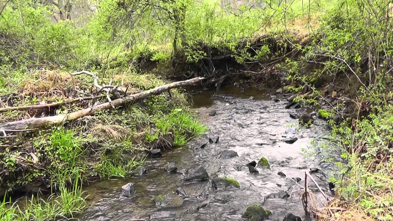 Relaxing Nature Journey & Walkabout #1 (Narrated) - Spring 2012 - Pennsylvania Woodlands