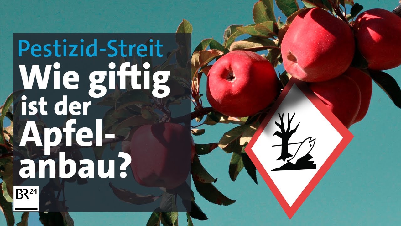 Pestizid-Streit: Perfekte Äpfel und ihre giftige Schattenseite | Die Story | Kontrovers | BR24