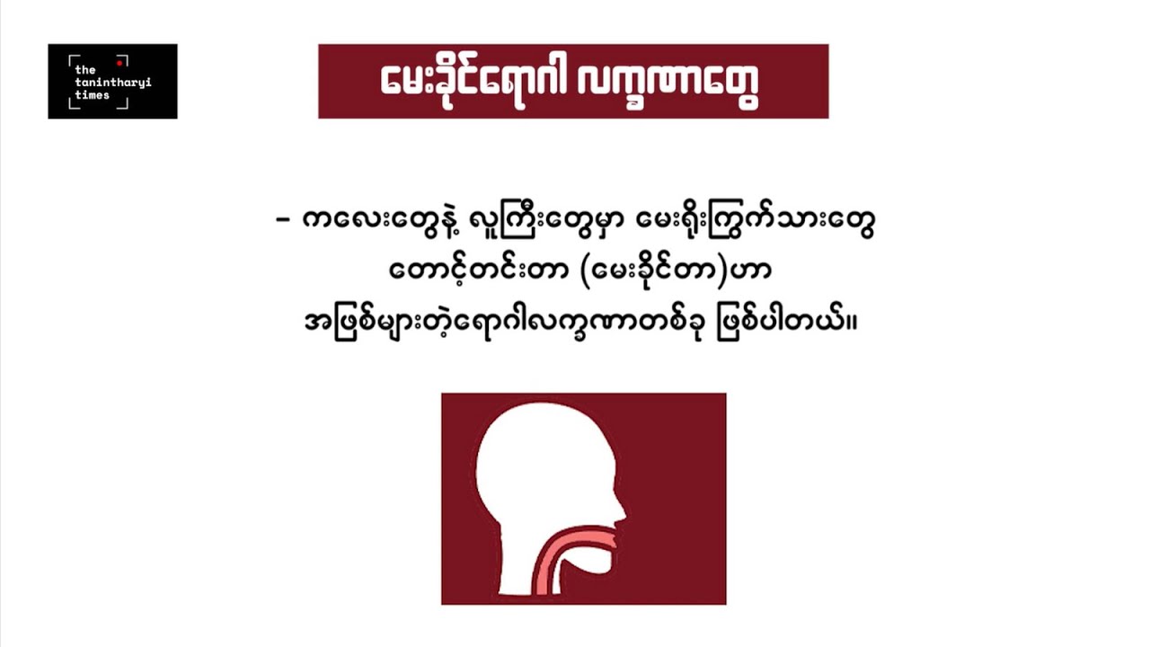 မပေါ့ဆသင့်တဲ့ မေးခိုင်ရောဂါ