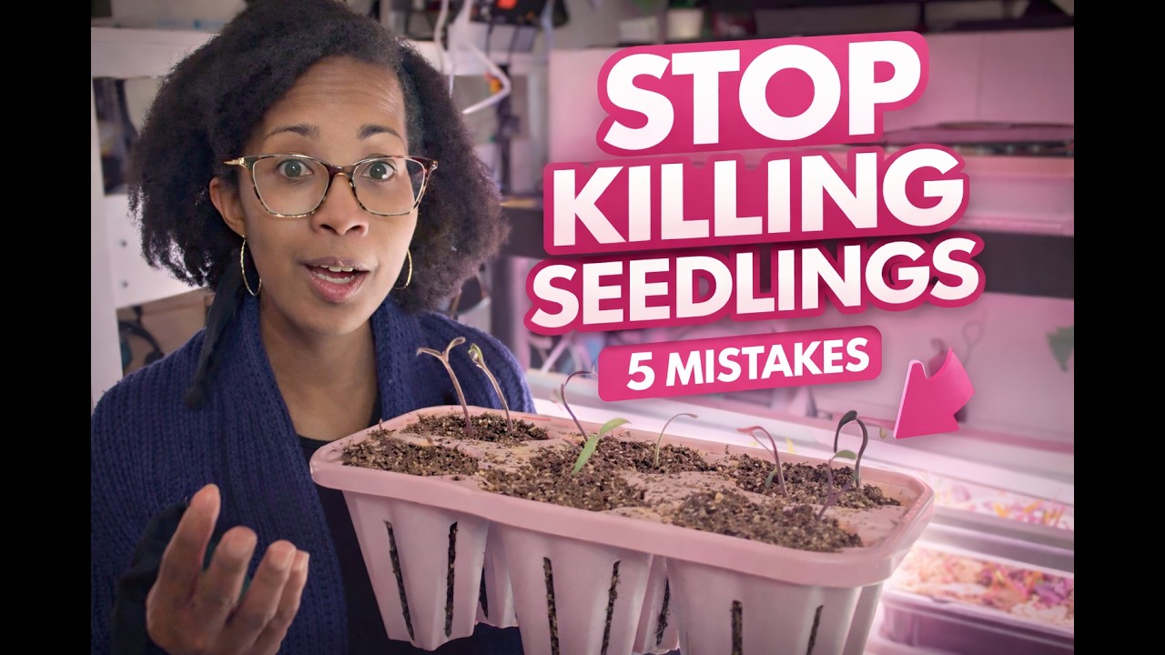 Common Seed Starting Mistakes & How to Fix Them