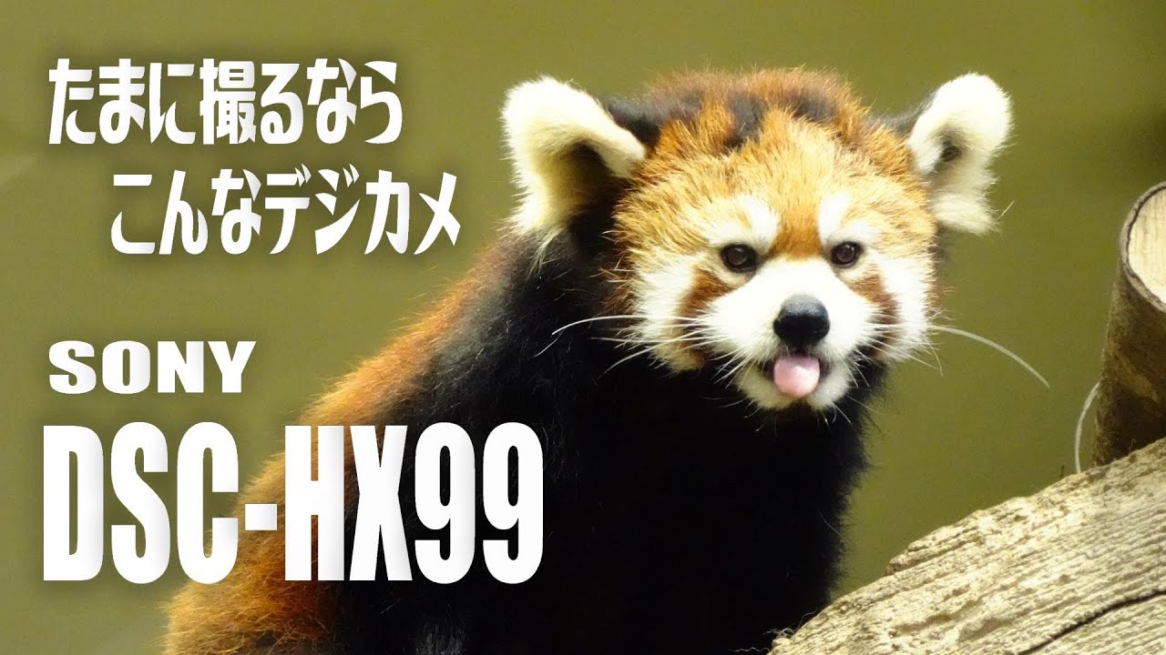 たまに撮るならこんなデジカメ SONY DSC-HX99