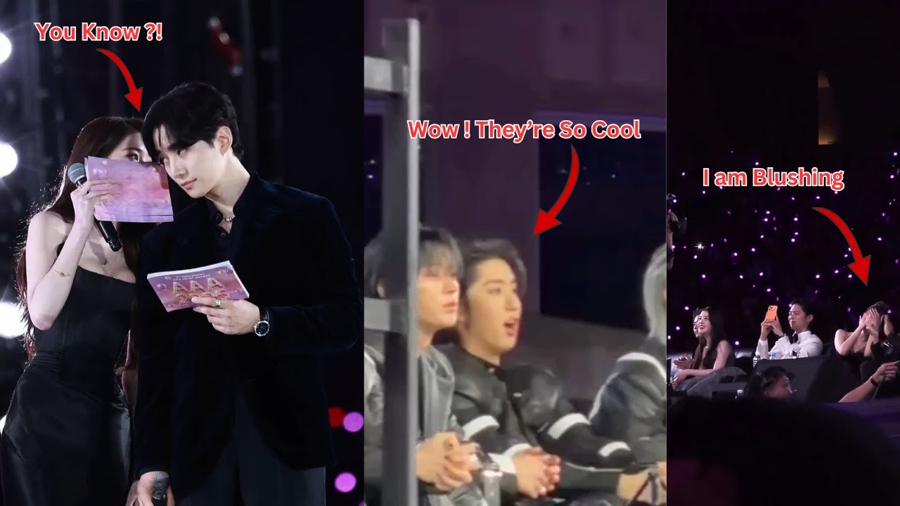 AAA 2025 Idols Moments You Missed !!