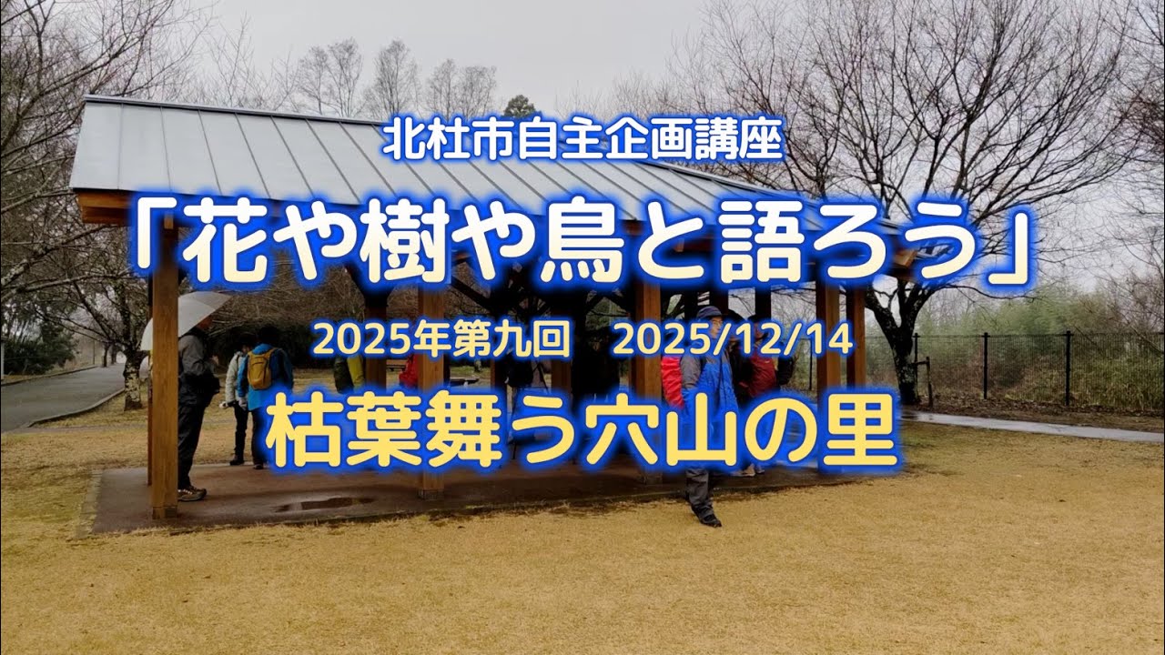 「花や樹や鳥と語ろう」2025年第九回　枯葉舞う穴山の里