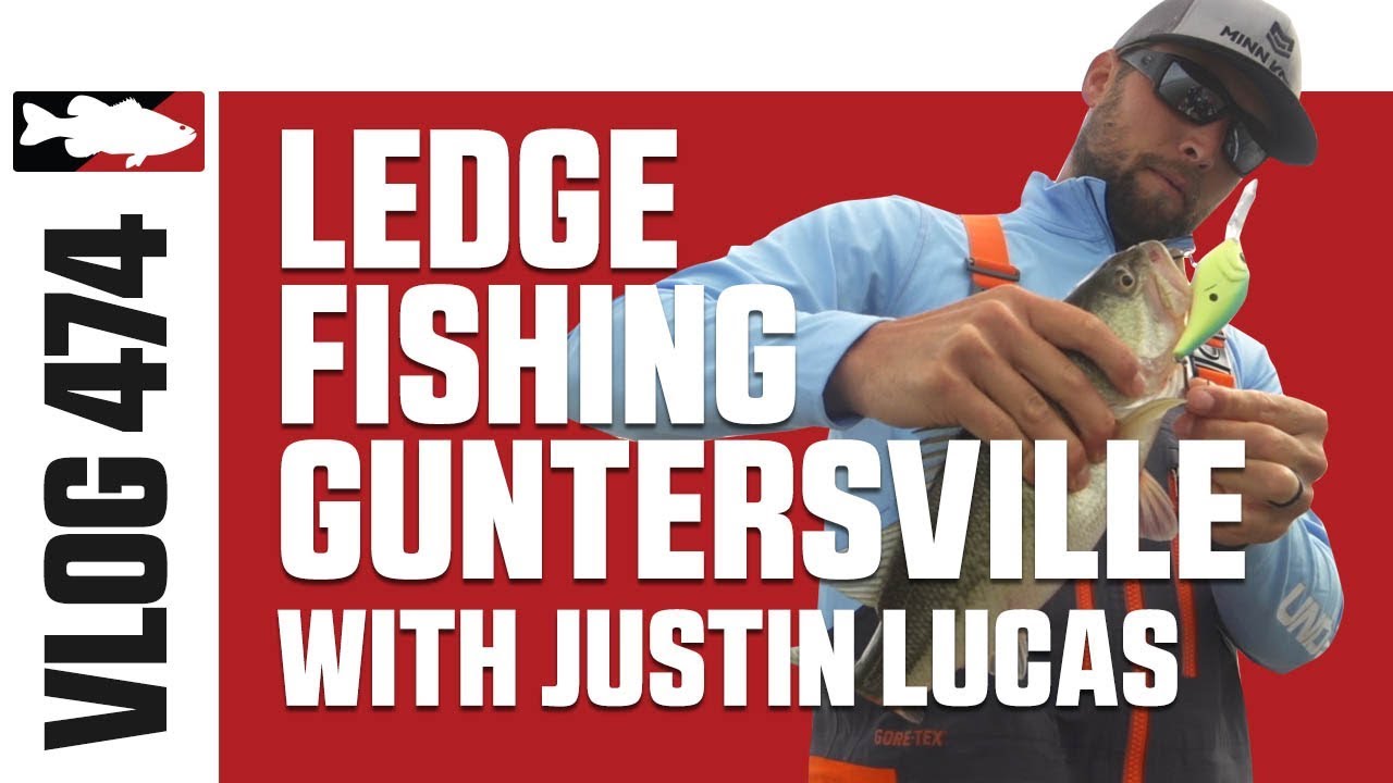 Justin Lucas Ledge Fishing on Guntersville - Tackle Warehouse VLOG #474
