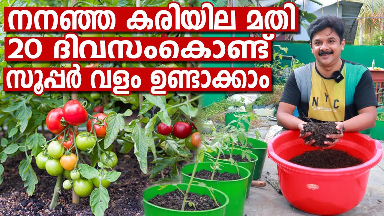 നനഞ്ഞ കരിയില മതി ഈ മഴക്കാലത്ത് 5 പൈസ ചെലവില്ലാതെ സൂപ്പർ വളം വീട്ടിൽ ഉണ്ടാക്കാം | Leaf Compost Making