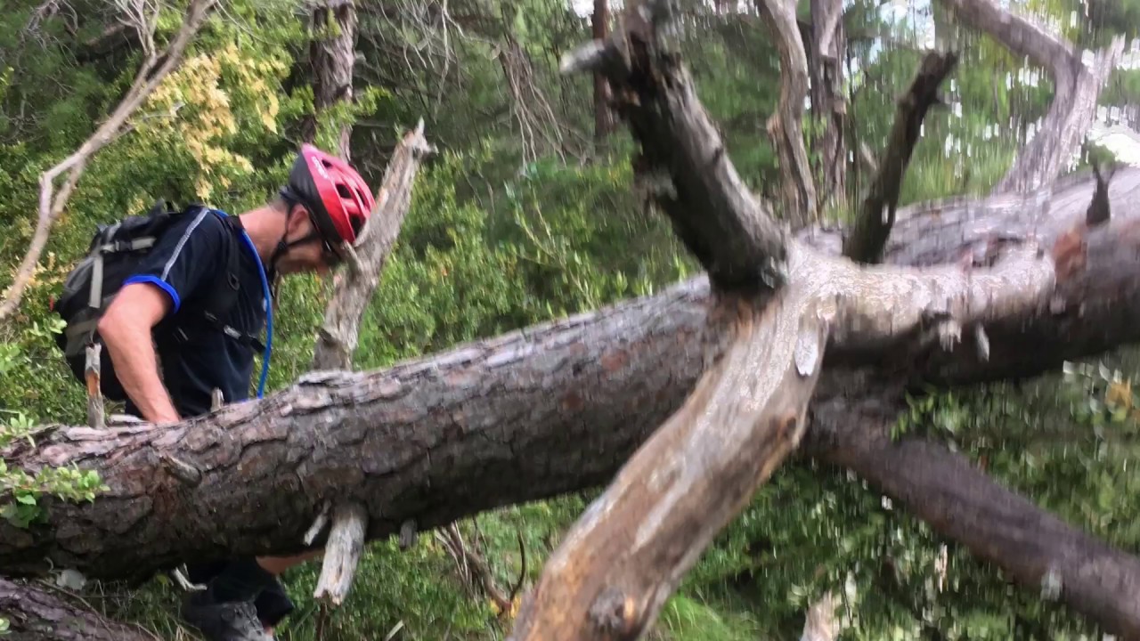 Mountain Biking the Gorge du Verdon, French Alps